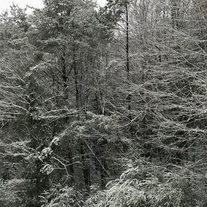 Meet your Posher, Jada